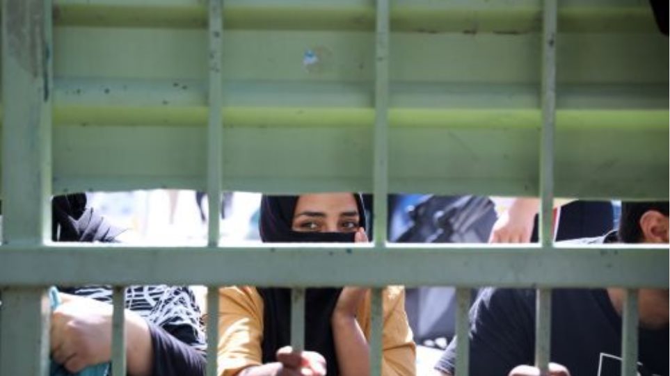 Metanastes_I7_Generic