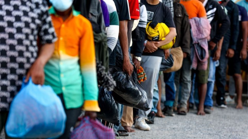 Metanastes_I_Generic3