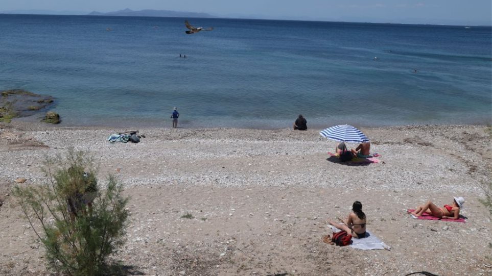 Paralia_I
