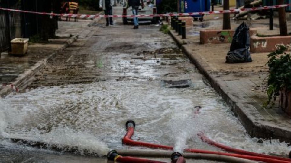 Plimires_Antlisi_nero_I1