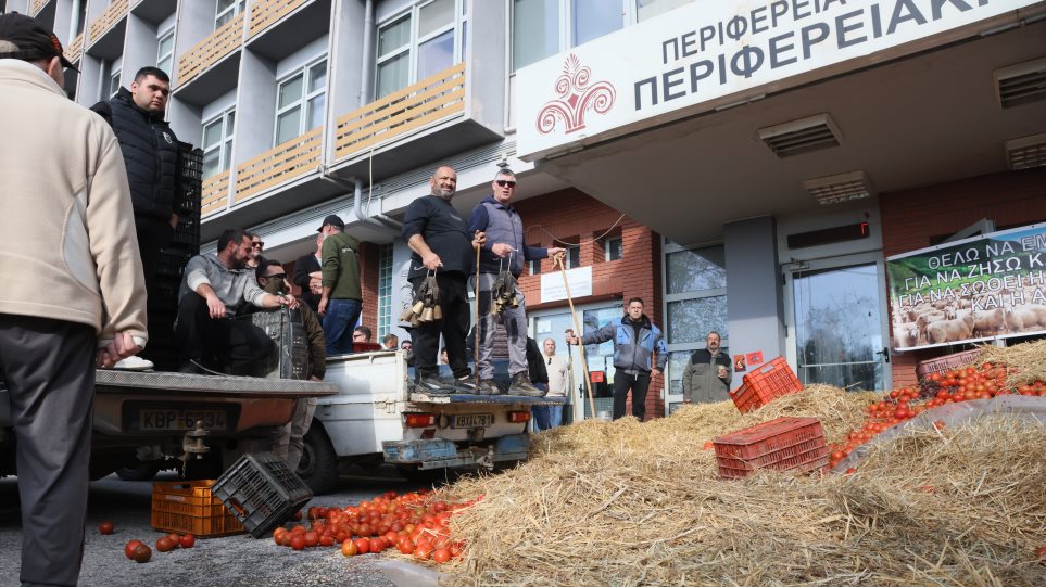 agrotes_diamartiria_Kavala_int