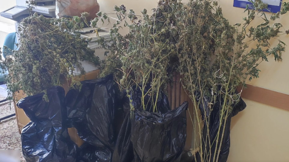 ergastirio_kanavis_elas