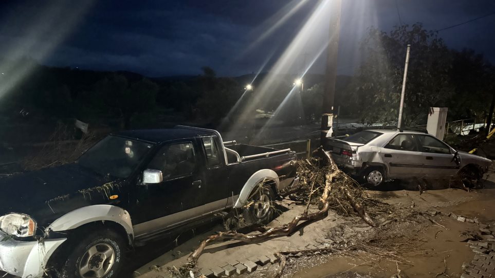 lakonia_plimires_int