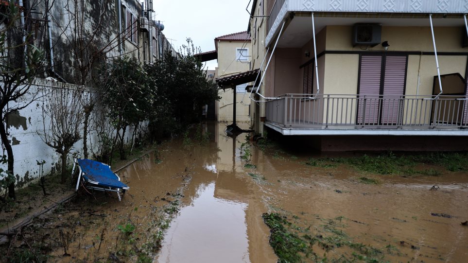 larisa_plimires_vroxi_int