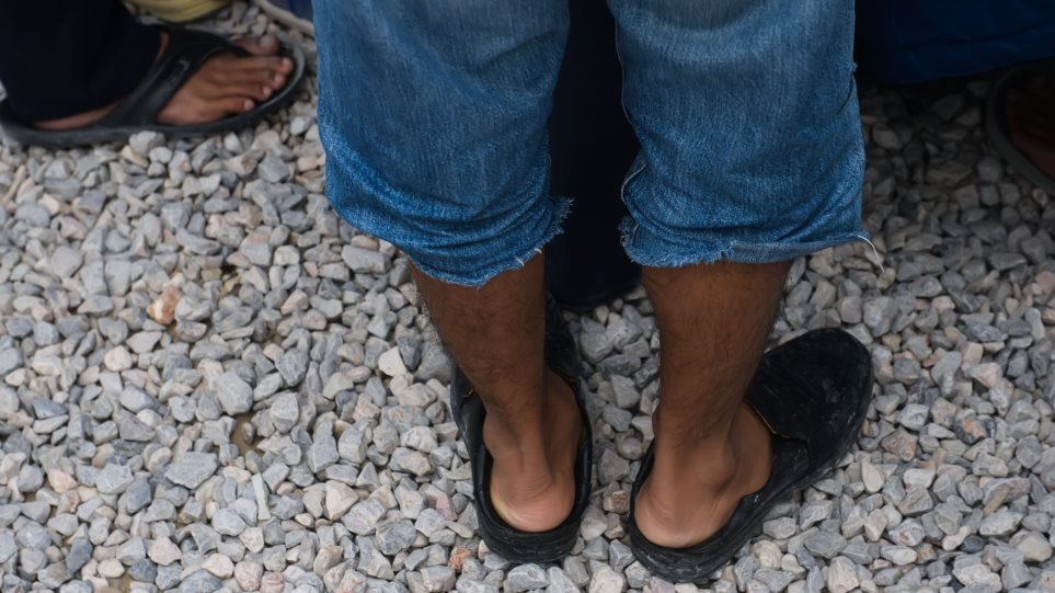 metanastes_podia_int