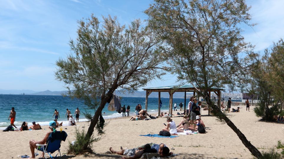 paralia_1i