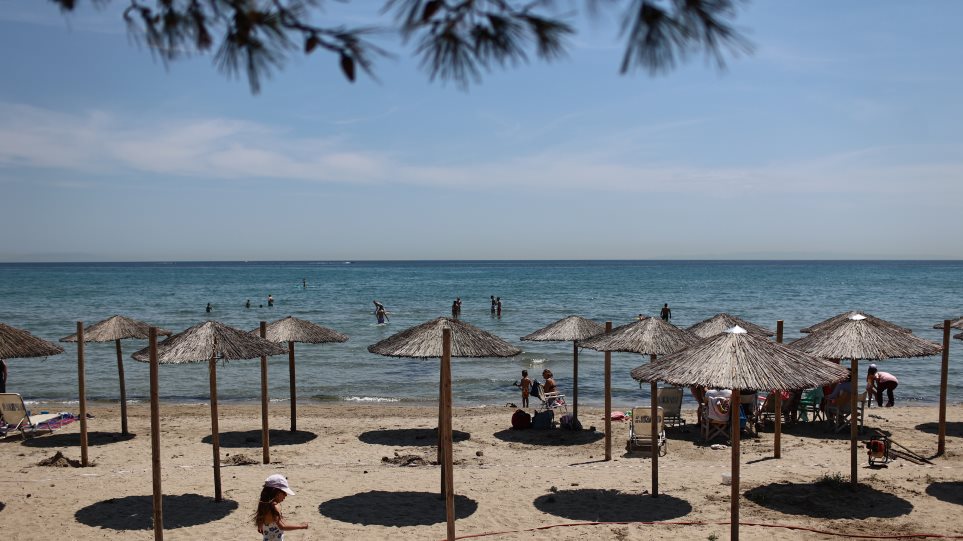 paralia_1i_3