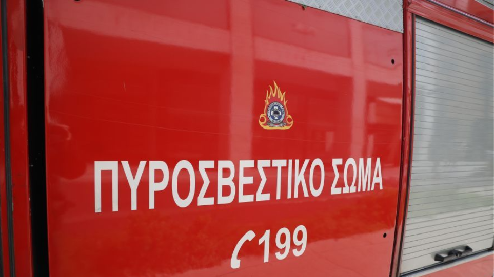 pirosvestiko1_oxima_199_int