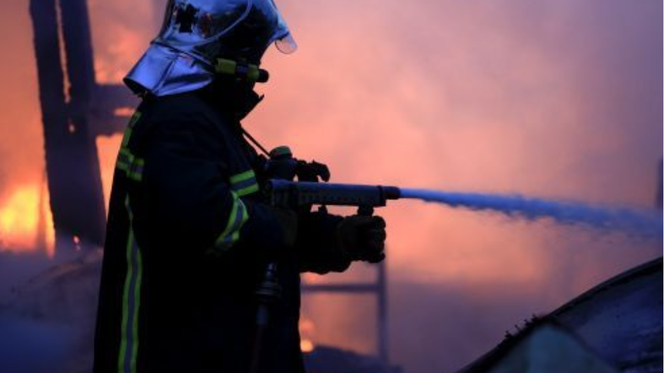 pirosvestis_manika_nero_int1