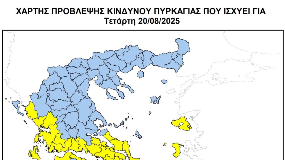 xartis_pirkagias_200825