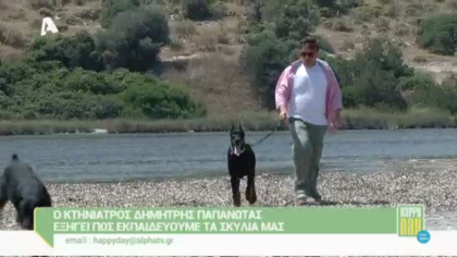O σκύλος του Παπανώτα στην παραλία
