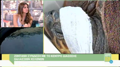 Κέντρο διάσωσης θαλασσίων χελώνων