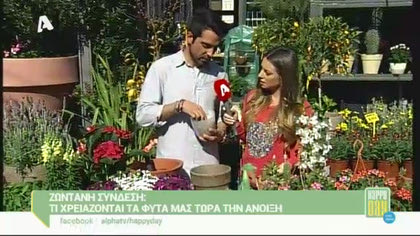 Ti χρειάζονται τα φυτά μας