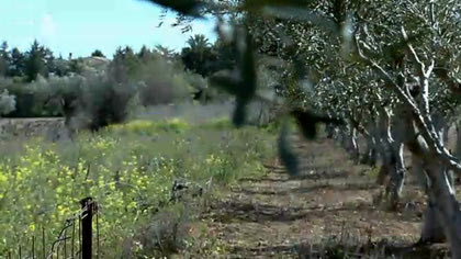 10η Εντολή Σ.4 Επ.10 Χωράφι