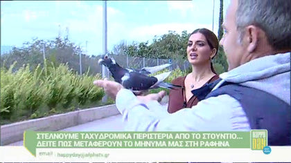 Ταχυδρομικά περιστέρια