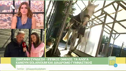 Τα άλογα κάνουν solarioum και διάδρομο γυμναστικής