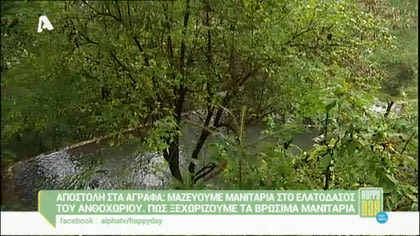 Αποστολή στα Άγραφα