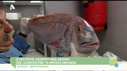 Ο Λ.Λαζάρου μας δείχνει πως να ξεχωρίζουμε τα φρέσκα μαλάκια και ψάρια