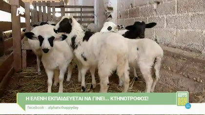 Η Ελένη εκπαιδεύεται να γίνει κτηνοτρόφος
