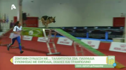 Ζωντανή σύνδεση… με ταλαντούχα ζώα