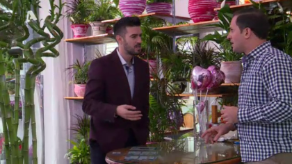 Σ1 – Επεισόδιο 42