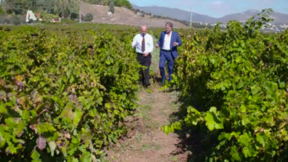 Έλα στη Θέση μου: Η τηλεταινία 4