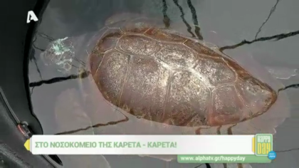 Το νοσοκομείο της Καρέτα – Καρέτα