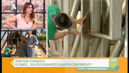 Οι ελέφαντες κάνουν πεντικιούρ