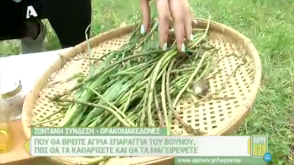Άγρια σπαράγγια από τα βουνά της Πάρνηθας