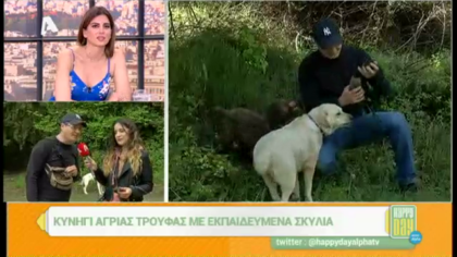 Κυνήγι άγριας τρούφας