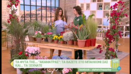 Τα φυτά της ακαμάτρας