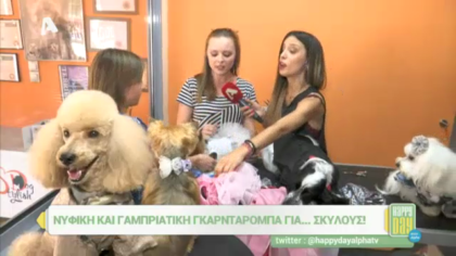 Νυφική και γαμπριάτικη γκαρνταρόμπα για σκύλους