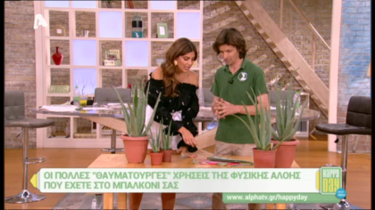 Οι πολλές θαυματουργές χρήσεις της Αλόης