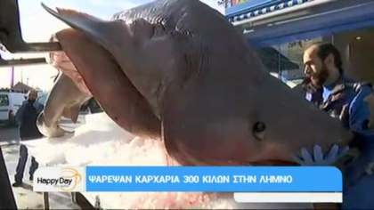 Ψάρεψαν καρχαρία 300 κιλών στην Λήμνο