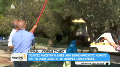 Πολίτες μαζεύουν ελιές από κοινόχρηστους χώρους και το λάδι δίνεται σε άπορες οικογένειες