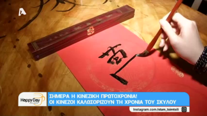Οι Κινέζοι καλωσορίζουν τη χρονιά του σκύλου. Κινεζική πρωτοχρονιά! Καλή χρονιά