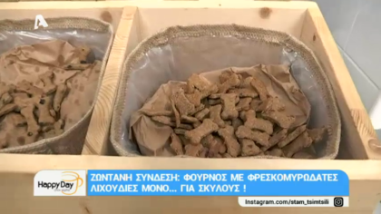 Φούρνος για σκύλους