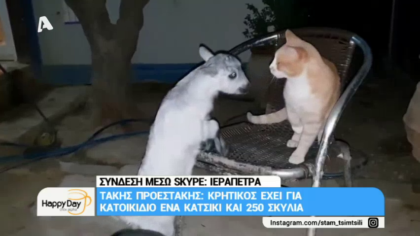Κρητικός έχει για κατοικίδιο ένα κατσίκι και 250 σκυλιά