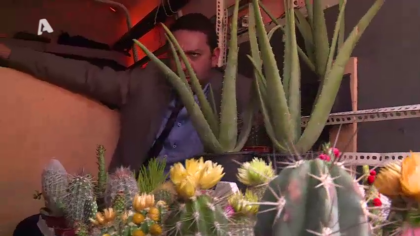 Σ2 – Επεισόδιο 182