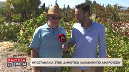 Ζωντανή σύνδεση με τον δημοτικό Λαχανόκηπο Αμαρουσίου