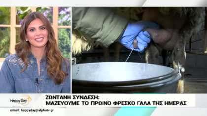 Μαζεύουμε το πρωινό φρέσκο γάλα της ημέρας