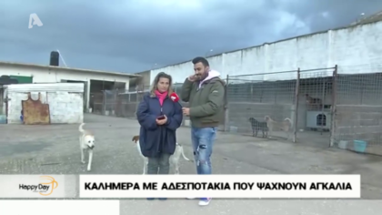 Καλημέρα με αδεσποτάκια που ψάχνουν αγκαλιά από την φιλοζωική “αδέσπωτη ελπίδα”