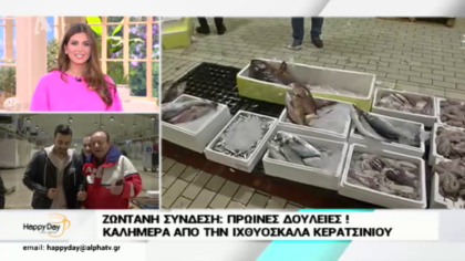 Καλήμερα από την Ιχθυόσκαλα Κερατσινίου