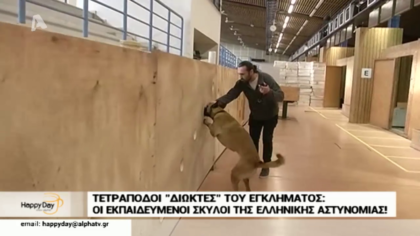 Τετράποδοι “διώκτες” του εγκλήματος: Γνωρίστε τους εκπαιδευμένους σκύλους της αστυνομίας