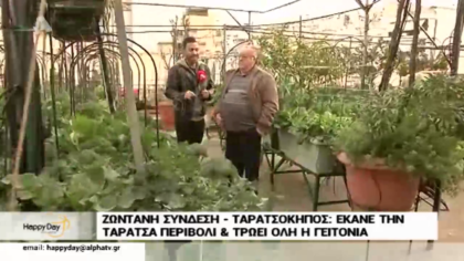 Έκανε στην ταράτσα του περιβόλι