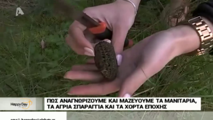 Πώς αναγνωρίζουμε και μαζεύουμε τα μανιτάρια, τα άγρια σπαράγγια και τα χόρτα εποχής.
