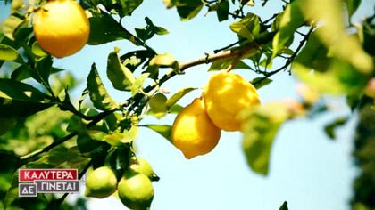 Οδοιπορικό Χίος