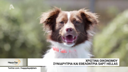 Η νέα καμπάνια από το PEDIGREE