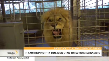 Η καθημερινότητα των ζώων όταν το πάρκο είναι κλειστό