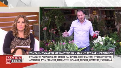 Ζωντανή σύνδεση με Ηλιούπολη: Πως θα φτιάξουμε μποστανάκι στη βεράντα μας